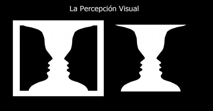 La Percepción Visual